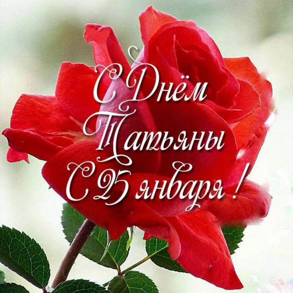 С Татьяниным днем!